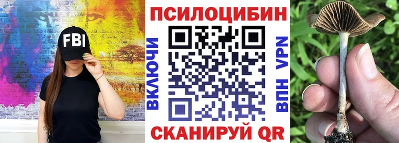 Галлюциногенные грибы GOLDEN TEACHER цены наркотик нарко площадка наркотические препараты Нытва